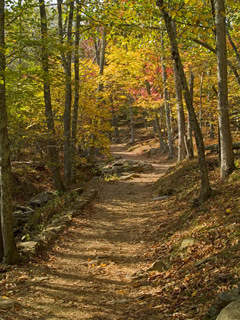 Head out on a hike this fall...