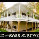 bed bass and beyond