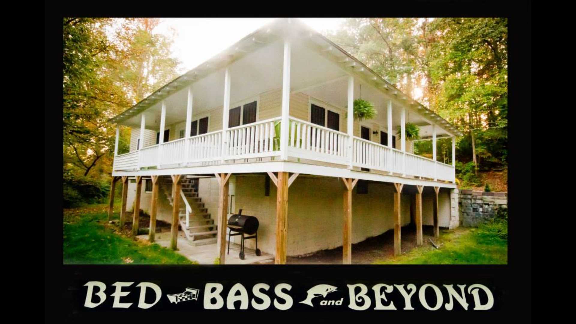 bed bass and beyond