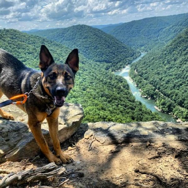 Dog Days of Summer - New River Gorge CVB : New River Gorge CVB