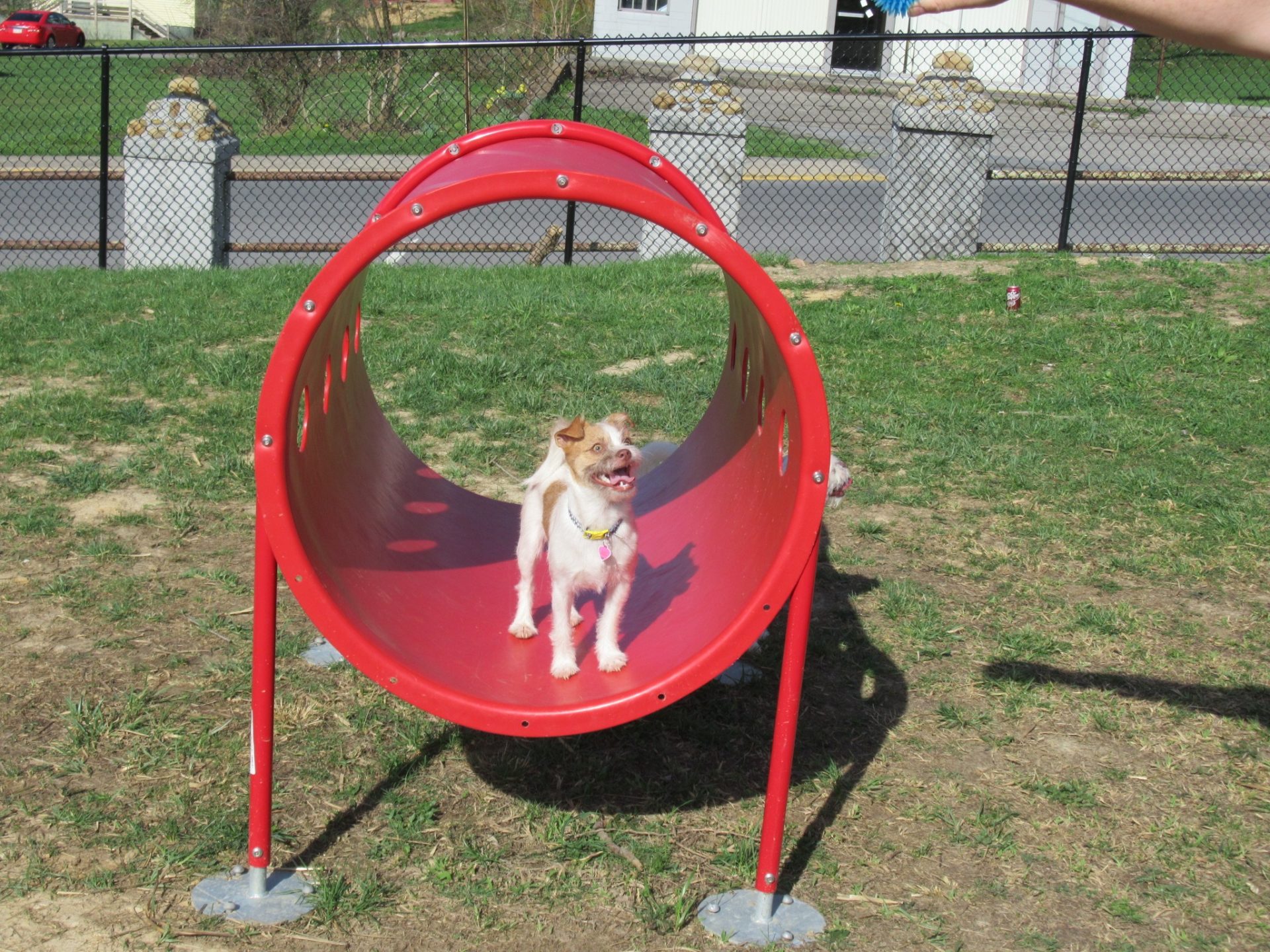 Doc Hamilton Dog Park and K9 Memorial New River CVB