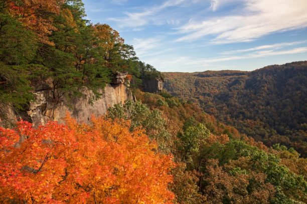 New River Gorge Fall Bucket List - New River Gorge CVB