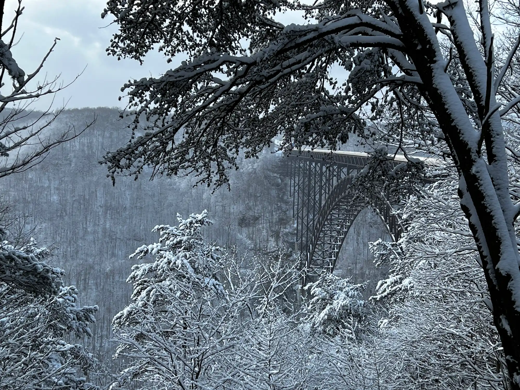 The New River Gorge Bridge framed by snow-covered tree branches in winter. The iconic steel arch bridge spans across a deep valley with snow-covered forest slopes in the background. The image has a moody, monochromatic quality with the bridge's dark steel structure contrasting against the white snow and gray sky.