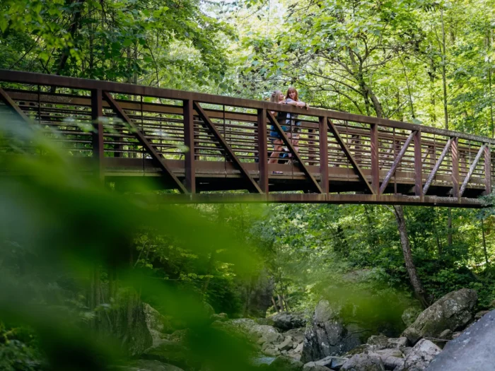 Two people standing on a wooden footbridge spanning across a rocky stream, surrounded by lush green forest vegetation.