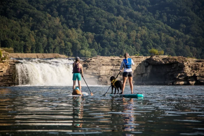 Two people paddleboarding on a calm river with a dog standing on one board. A waterfall flows over rocky ledges in the background with forested hills behind.