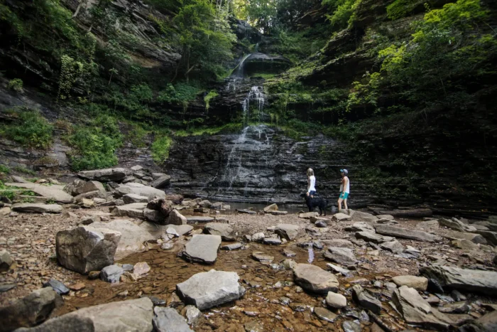 A multi-tiered waterfall cascading down a rocky cliff surrounded by lush green vegetation. Two people and a dog stand on rocks at the base of the falls.