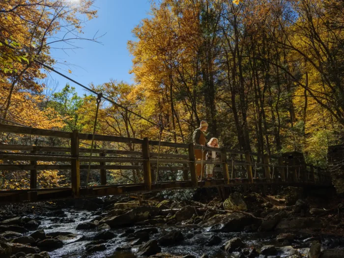 Adult and child standing on wooden bridge over rocky stream in autumn forest