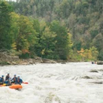 Whitewater rafting group in orange raft navigating rapids on river surrounded by autumn forest with colorful fall foliage.