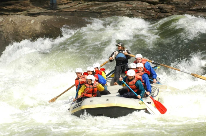 Whitewater rafting group in white raft with guide standing, paddling through rough rapids with rocky canyon walls.