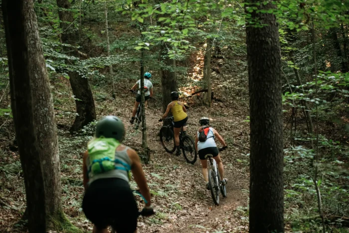 Four cyclists riding mountain bikes on dirt trail through wooded area
