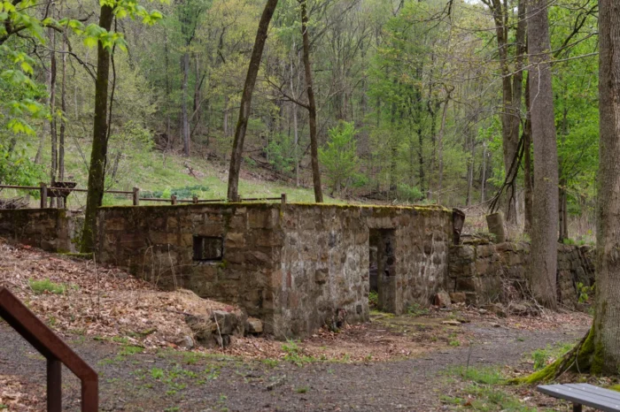 Abandoned stone ruins with doorways in a wooded forest setting