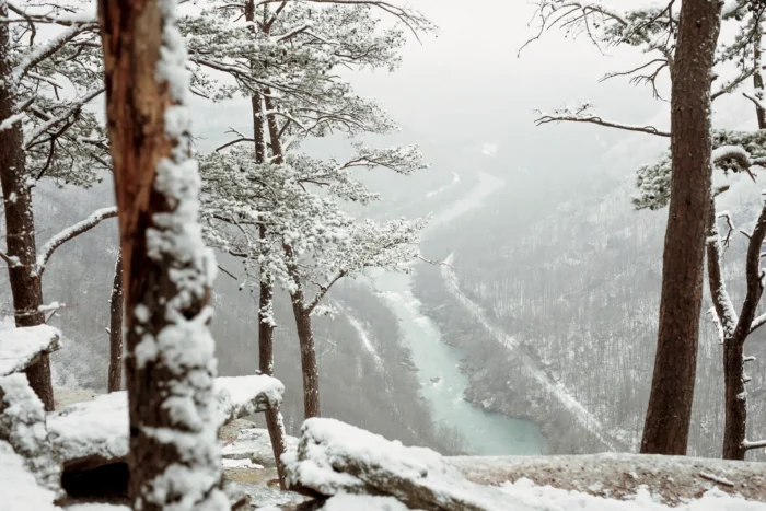 Snow-covered trees frame a view of the misty New River Gorge with the turquoise New River below