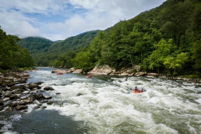 Rafters in three orange rafts paddling through rapids on the New River, surrounded by green trees and smooth, flat rocks. 