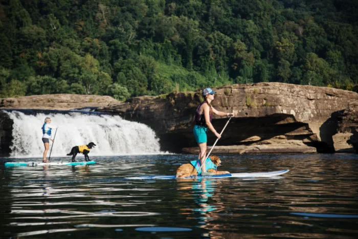 Two women paddleboarding with their dogs on a calm river in front of a Kanawha Falls