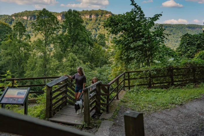 Two women walking a dog on a wooden staircase overlooking the forested gorge
