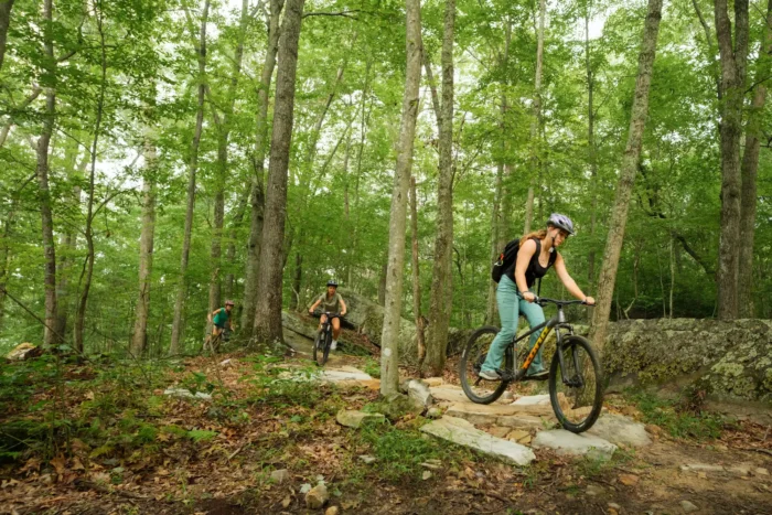 Mountain bikers riding a rocky forest trail, lead rider crossing a stone path between trees at Needleseye Park. 